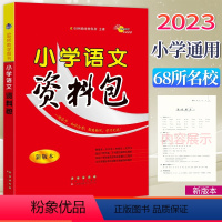 [正版]2023 68所助学图书 小学语文资料包新版本 长春出版社 小学生语文知识大全小升初语文总复习工具书词语句子阅读