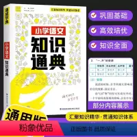 语文 小学通用 [正版]2023通城学典小学生一二三四五六年级小学语文数学英语知识通典通用版 小升初资料包大集结基础知识