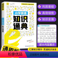 英语 小学通用 [正版]2023通城学典小学生一二三四五六年级小学语文数学英语知识通典通用版 小升初资料包大集结基础知识