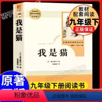 我是猫--人民教育出版社 [正版]简爱儒林外史2本套装人民教育出版社语文九年级下册阅读必经典文学丛书初中学生自主阅读经典