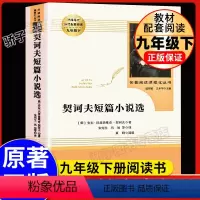 契诃夫短篇小说选--人民教育出版社 [正版]简爱儒林外史2本套装人民教育出版社语文九年级下册阅读必经典文学丛书初中学生自