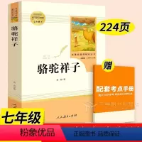 骆驼祥子 [正版]骆驼祥子和海底两万里七年级必读人教版 书原著 人民教育出版社 名著版带批注初中版完整版无删减 7下册阅