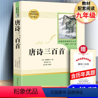 [人教版]唐诗三百首+考题册 [正版]艾青诗选水浒传书原著完整版温儒敏王本华人民教育出版社初中生初三课外书阅读九年级