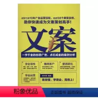[正版]文案:一字千金的创意广告,点石成金的案例分析书张宇微市场营销学文书写作 管理书籍