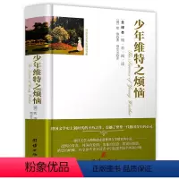 少年维特之烦恼(精装) [正版]精装560余页忏悔录上下全2册 全译本完整版卢梭著原著原版中文版小说名著古罗马奥古斯丁著