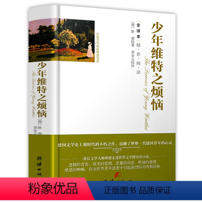 少年维特之烦恼(精装) [正版]精装560余页忏悔录上下全2册 全译本完整版卢梭著原著原版中文版小说名著古罗马奥古斯丁著