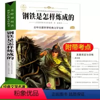[正版]钢铁是怎样炼成的中外名著8-10-12岁小学生版四五六年级课外书新