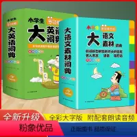 [2本套装]大英语词典+大语文素材词典 小学通用 [正版]小学生多功能大成语词典大英语词典大语文字典彩图大字大开本教育大