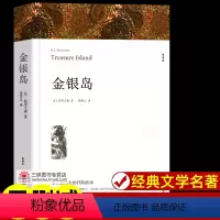 金银岛[218页] [正版]世界名著全套原著 完整版无删减初中生高中生阅读课外书 朝花夕拾 西游记 昆虫记 艾青诗选水浒