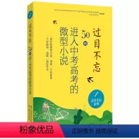 过目不忘 : 50则进入中考高考的微型小说.1 [正版]过目不忘50则进入中考高考的微型小说 全10册汇编进入各地中高考