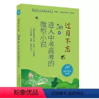 过目不忘 : 50则进入中考高考的微型小说.10 [正版]过目不忘50则进入中考高考的微型小说 全10册汇编进入各地中高