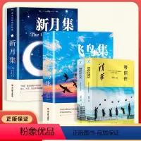 [4册]飞鸟集+新月集+等你在清华北大 [正版]泰戈尔诗集全2册 飞鸟集+新月集 英汉对照双语版 如夏花泰戈尔诗选诗集初