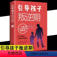 [正版]引导孩子叛逆期 父母不可不知的枕边教科书 正确引导10-18岁中学生青少年成长期叛逆期心理疏导沟通教育养育男孩女