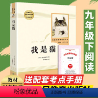 我是猫[赠考点手册] [正版]儒林外史+简爱书籍原著完整版无删减人民教育出版社初中生九年级下册课外书籍必读世界文学名