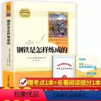 [人教版]钢铁是怎样炼成的 [正版]钢铁是怎样炼成的傅雷家书原著无删减人民教育出版社初中生八年级下册阅读课外阅读书籍文学