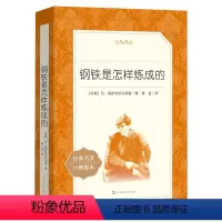 钢铁是怎样炼成的[人民文学版] [正版]钢铁是怎样炼成的原著八年级下册必读课外书人民教育出版社初二初中生名著阅读书籍语文
