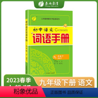 语文 九年级/初中三年级 [正版]2023春初中语文词语手册九年级下册人教版语文课文字词句同步讲解辅导书专项训练工具书仓