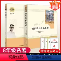 [2本人教]经典常谈+钢铁 [正版]经典常谈 朱自清 八年级下册初二语文课外阅读书籍南方出版社原版无删减初中阅读名著经典