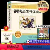 钢铁是怎样练成的(送考点手册) [正版]朝花夕拾七年级必读书上册人教版初中必读名著十二本完整版无删减下册西游记红星照耀中