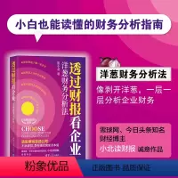[正版]透过财报看企业:洋葱财务分析法 崔小北 企业管理会计分析金融学 小白也能读懂的财务分析指南