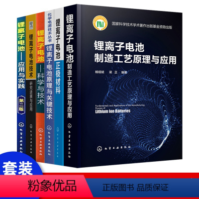 [正版]锂离子电池原理关键技术制造工艺原理应用科学技术化学工业技术研究进展应用技术丛书化学电源技术丛书应用实践原理性能与