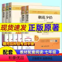 七上选读 城南旧事 [正版]2024新版朝花夕拾考点练习七年级必读书人教版全新解读送考试手册人民文学出版社初中必读原书西