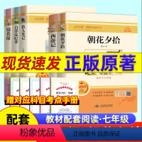 七上选读 镜花缘 [正版]2024新版朝花夕拾考点练习七年级必读书人教版全新解读送考试手册人民文学出版社初中必读原书西游