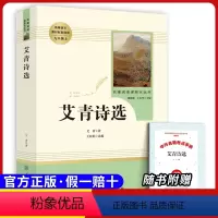 九上必读 艾青诗选 [正版]原著九年级下册必读课外书儒林外史简爱无删减完整版人民教育出版社初三下册必读选名著阅读格列佛游
