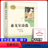 九上选读 泰戈尔诗选 [正版]原著九年级下册必读课外书儒林外史简爱无删减完整版人民教育出版社初三下册必读选名著阅读格列佛