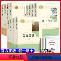 [九年级全套]12本全套 [正版]原著九年级下册必读课外书儒林外史简爱无删减完整版人民教育出版社初三下册必读选名著阅读格