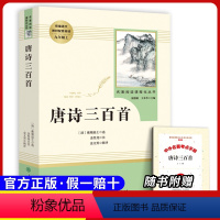 九上选读 唐诗三百首 [正版]原著九年级下册必读课外书儒林外史简爱无删减完整版人民教育出版社初三下册必读选名著阅读格列佛