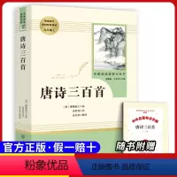 九上选读 唐诗三百首 [正版]原著九年级下册必读课外书儒林外史简爱无删减完整版人民教育出版社初三下册必读选名著阅读格列佛