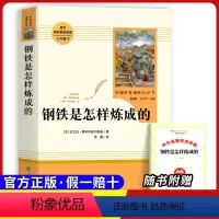 八下必读 钢铁是怎样炼成的 [正版]原著八年级上册必选读课外书寂静的春天 星星离我们有多远 飞向太空港无删减完整原版人民