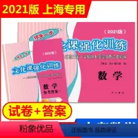 2021一模 数学+答案 九年级/初中三年级 [正版]2023版上海中考一模卷二模卷 语文数学英语物理化学历史道德与法治