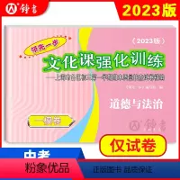2023一模 道德与法治(仅试卷) 九年级/初中三年级 [正版]2023版上海中考一模卷二模卷 语文数学英语物理化学历史