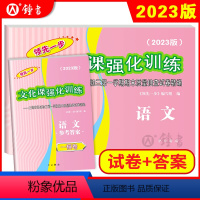 2023一模 语文+答案 九年级/初中三年级 [正版]2023版上海中考一模卷二模卷 语文数学英语物理化学历史道德与法治