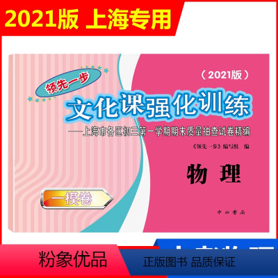 2021一模 物理(仅试卷) 九年级/初中三年级 [正版]2023版上海中考一模卷二模卷 语文数学英语物理化学历史道德与