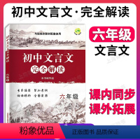 初中文言文完全解读 6年级 初中通用 [正版]2024中考文言文点击 初三语文九年级初中文言文点击专项训练 赠课程标准古