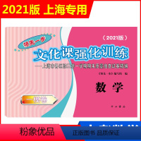 2021一模 数学(仅试卷) 九年级/初中三年级 [正版]2023版上海中考一模卷二模卷 语文数学英语物理化学历史道德与