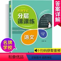 五年级下语文单本 小学通用 [正版]学校分层课课练任选语文数学英语N版一二三三四五六八七九年级上第一学期小学初中用课后A