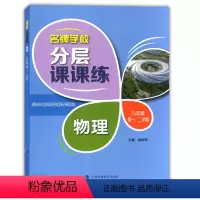 九年级物理 第一二学期 小学通用 [正版]学校分层课课练任选语文数学英语N版一二三三四五六八七九年级上第一学期小学初中用