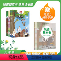 悦读整本书 6年级上全3册 [正版]小英雄雨来爱的教育童年 悦读整本书 ZS快乐读书吧&ldquo;正反书&rdquo;