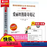 爱丽丝漫游奇境记 [正版]4册任选爱阅读 快乐读书吧 六6年级下册鲁冰逊漂流记汤姆索亚历险记尼尔斯爱丽丝 无障碍阅读导读