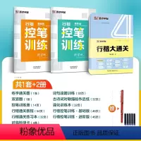[行楷控笔套装]大通关10件套+控笔训练2册 [正版]楷书大通关初学者笔画笔顺临摹练字初高中大学生控笔训练成年男生女生字