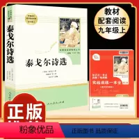 [人教版]泰戈尔诗选 [正版]九年级下册必读名著我是猫契诃夫短篇小说选格列佛游记围城原著全译本注释人民教育出版社初三初中