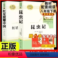 [人教版 必读2册]八上必读 昆虫记+红星照耀中国 [正版]经典常谈朱自清和钢铁是怎样炼成的原版原著 八年级下册课外书必