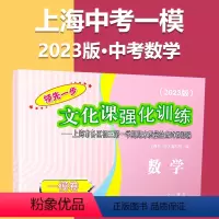 2023一模[数学]仅试卷 初中通用 [正版]2023上海中考一模卷二模卷语文数学英语物理化学道德与法治政治历史模拟试卷