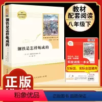 [人教版]钢铁是怎样炼成的 [正版]飞向太空港 李鸣生原著完整版中译八年级上8年级初二上册初中生全新语文名著寒暑假学校课