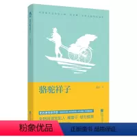 骆驼祥子 [正版]导读手册版初中阅读 朝花夕拾/昆虫记/艾青诗选/海底两万里/骆驼祥子 七 八 九年级课外阅读原著经典
