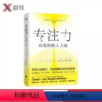 [正版]专注力 心流的惊人力量 克里斯·贝利著精英人士都在用的高效专注法 李开复 励志